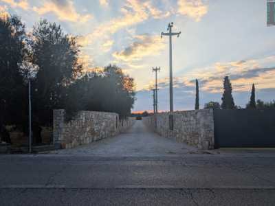 Terlizzi, la Strada delle Madonne